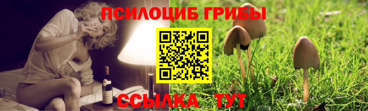 Королёв  Галлюциногенные грибы GOLDEN TEACHER  Вход с VPN 