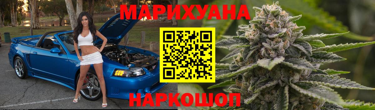 Бошки марихуана ГИДРОПОН  Конопля планчик  Королёв  Вход с VPN  Марихуана сатива 